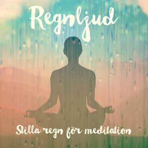 Stilla regn för meditation - Regnljud