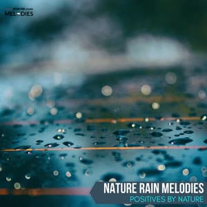 Nature Rain Melodies - Positives by Nature - The Rain Library
