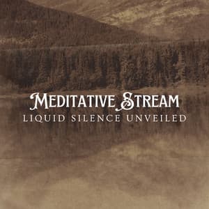 Meditative Stream: Liquid Silence Unveiled - Meditation Music Club