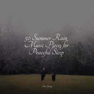 50 Summer Rain Music Pieces for Peaceful Sleep - Instrumental