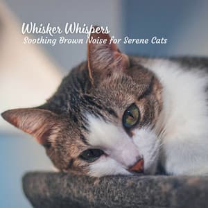 Whisker Whispers: Soothing Brown Noise for Serene Cats - Fan Brown Noises