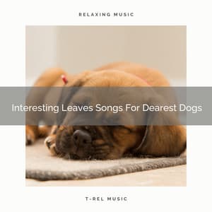 Interesting Leaves Songs For Dearest Dogs - Pets Total Relax