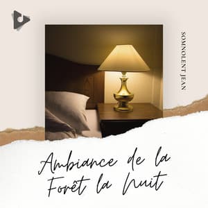 Ambiance de la Forêt la Nuit - Somnolent Jean