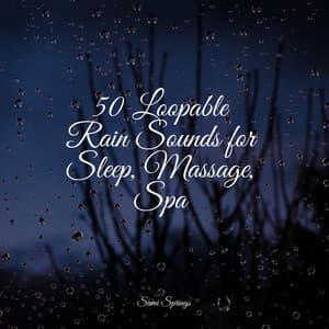 50 Loopable Rain Sounds for Sleep, Massage, Spa - Masters of Binaurality