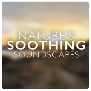 Nature's Soothing Soundscapes - Soundscapes