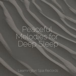 Peaceful Melodies for Deep Sleep - Natural Sound Makers