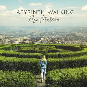 Labyrinth Walking Mental Stillness - Daniel Shanti
