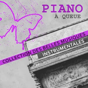 Piano à queue - Collection des belles musiques instrumentales: Relaxation, Jazz musique de fond de détente, Smooth lounge, Tranquillité - Oasis de piano musique