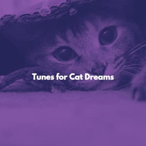 Tunes for Cat Dreams - Música Chill para Cafés