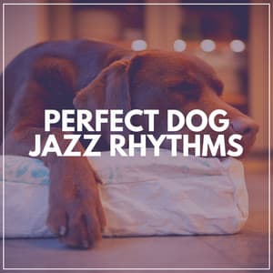 Perfect Dog Jazz Rhythms - Good Mood Music Academy