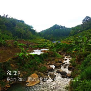 Sleep: Soft River Water Stream Sound Vol. 1 - Sleep Music Guys