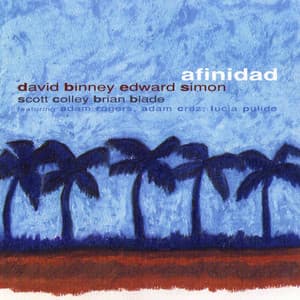 Afinidad - David Binney