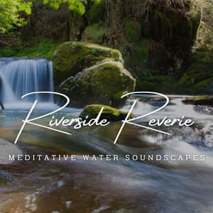 River of Tranquil Reflections: Meditative Water Soundscapes - Whispering Streams