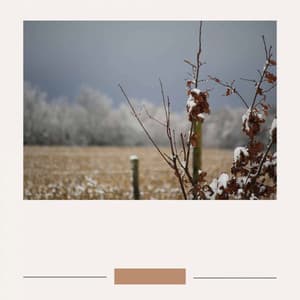 Music for Refreshing Spring - Jazz Ballad - Trabajar desde Casa Playlist