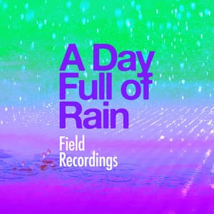 A Day Full of Rain - Field Recordings
