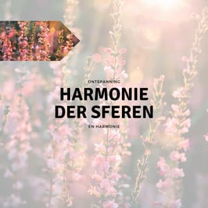 Harmonie der Sferen - Ontspanning en Harmonie