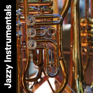 Jazzy Instrumentals - Chilled Jazz Masters