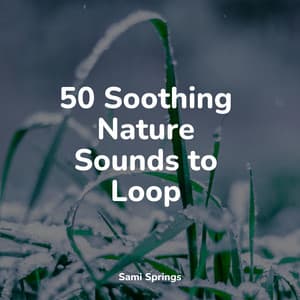 50 Soothing Nature Sounds to Loop - Rest & Relax Nature Sounds