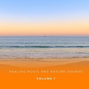 Healing Music And Nature Sounds Vol. 1 - Relaxed Minds