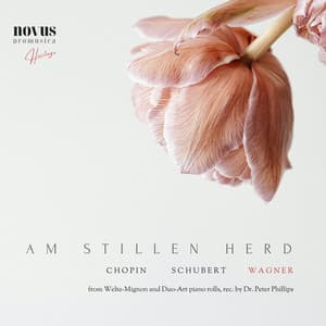 Am Stillen Herd. Opera Transcriptions from the Golden Age - Carl Friedberg