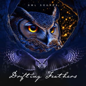 Drifting Feathers - Owl Sounds