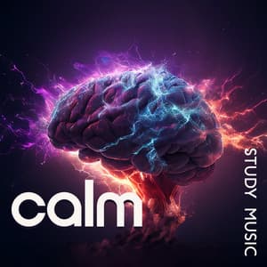 Calm Study Music - Brain Study Music Guys