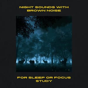 Night Sounds with Brown Noise for Sleep or Focus Study, Loopable - Night Nature Sounds
