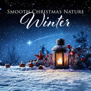 Smooth Christmas Nature: Winter - Nature Music Sanctuary