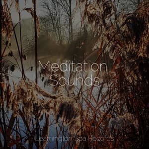 Meditation Sounds - Regengeräusche