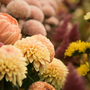 ! ! ! ! Love - Música Relajante