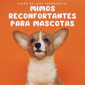 Piano De Jazz Purrrfecto: Mimos Reconfortantes Para Mascotas - Consorte de música de piano relajante