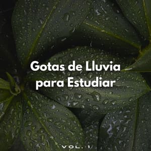 Gotas De Lluvia Para Estudiar Vol. 1 - Estudio de sonidos de lluvia