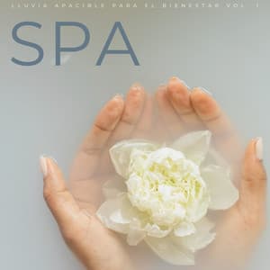 Spa: Lluvia Apacible Para El Bienestar Vol. 1 - Bonitos ruidos de lluvia