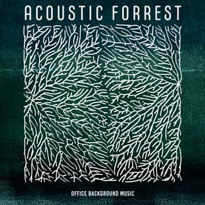 Acoustic Forrest - Office Background Music