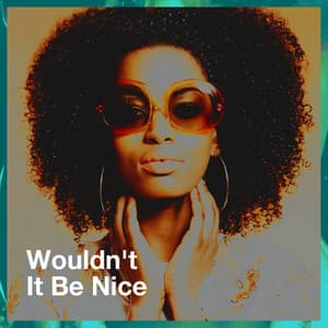 Wouldn't It Be Nice - Pop Tracks