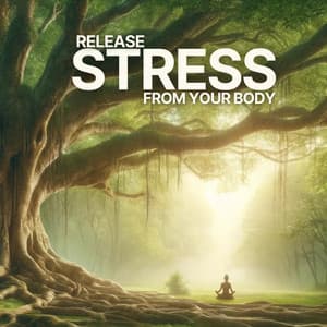 Release Stress from Your Body: Mindfulness Meditation Practice - Anti Stress Music Zone