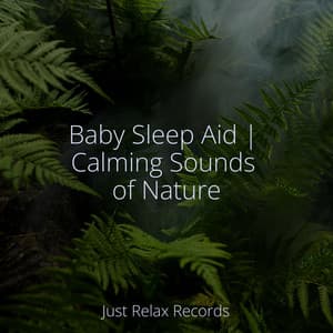 Baby Sleep Aid | Calming Sounds of Nature - Yoga Music