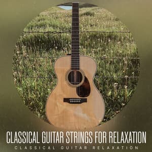 Classical Guitar Strings for Relaxation - Classical Guitar Relaxation