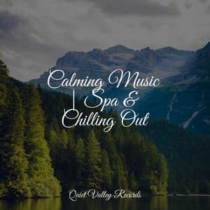 Calming Music | Spa & Chilling Out - Tailormade Ocean Waves