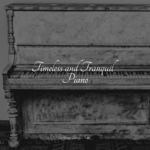 Timeless and Tranquil Piano - Study Music & Sounds
