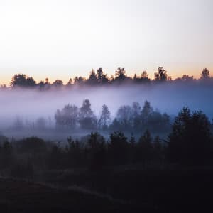 Gentle Mist of Sound - Guitar Relaxing