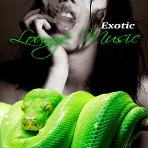 Exotic Lounge Music - Oriental Dance, Buddha Chill Lounge Collection, Tantric Café & Exotic Party Music, Sexy Asian Fashion, Indian Bar Music, Taste of the Chillout, Sex Music - Wanted Chill Oasis