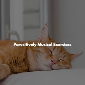 Pawsitively Musical Exercises - Dinner & Jazz Radio