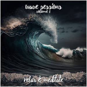 Wave Sessions - Volume 3 - Relax and Meditate