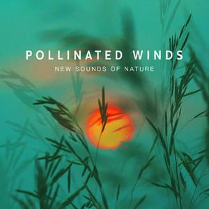 Pollinated Winds - New Sounds Of Nature