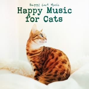 Classical Radio Station - Classical Music Station