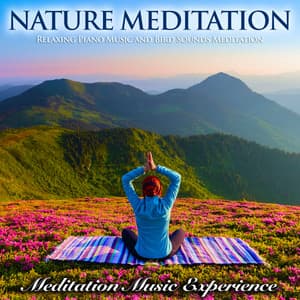 Nature Meditation: Relaxing Piano Music and Bird Sounds Meditation - Meditation Music Experience