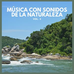 Música con Sonidos de La Naturaleza Vol. 3 - Lluvia Del Bosque