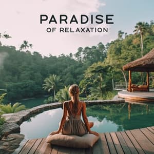 Paradise of Relaxation: Sunset Chillout Music 2023 - Top 40
