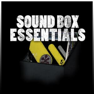 Sound Box Essentials Platinum Edition - Winston Wright